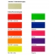 Fluorol Farba Akrylowa Fluorescencyjna RAL2007 - 1L